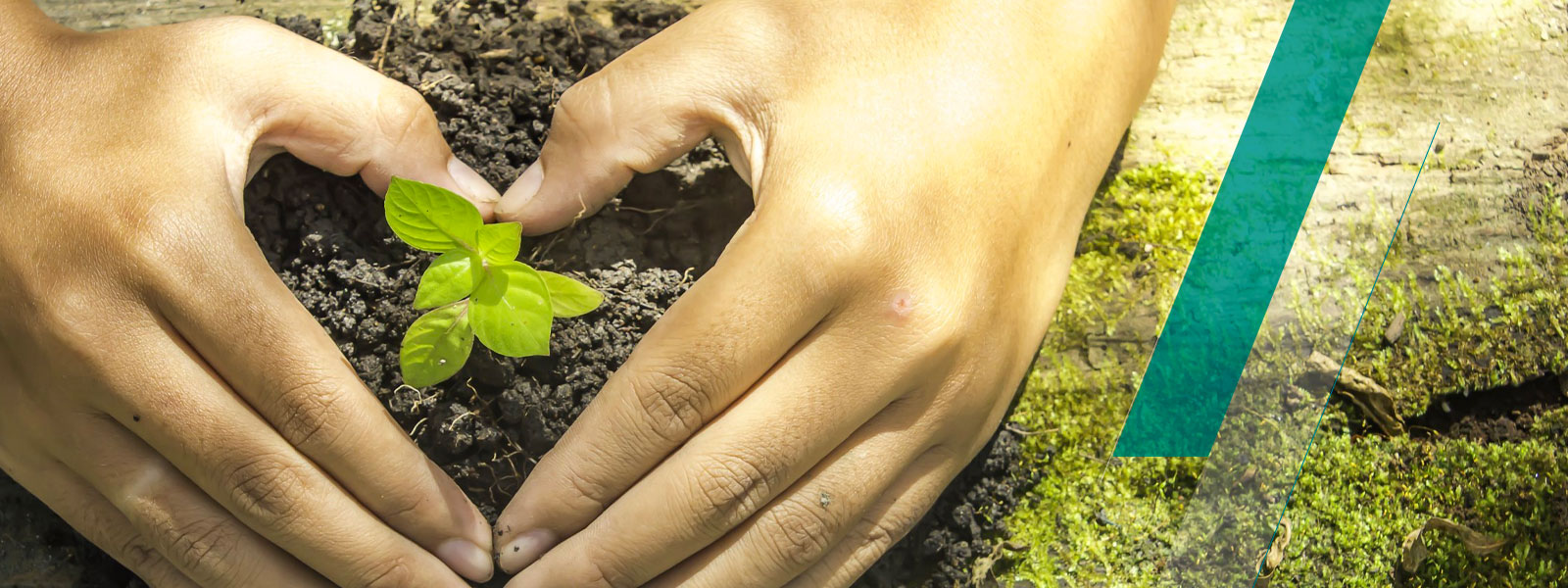 Environnement Bannière Détails